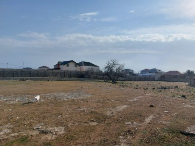 image 377787