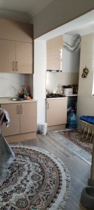 image 377789