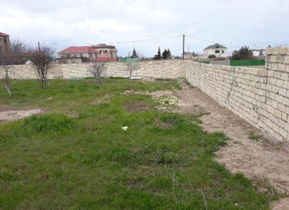 image 377792