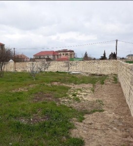 image 377792