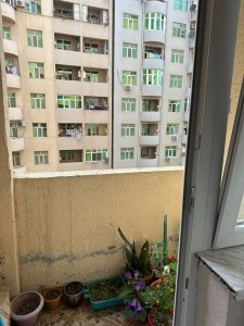 image 377803