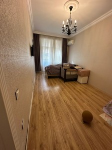image 377803