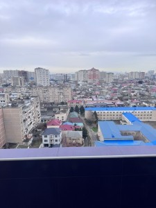 image 377806
