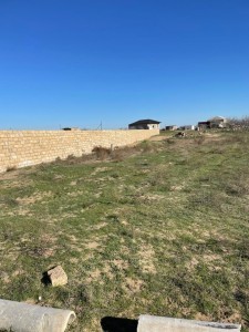 image 377814