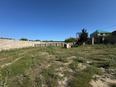 image 377816