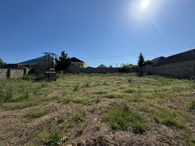 image 377816