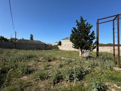 image 377816