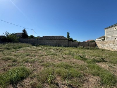 image 377816