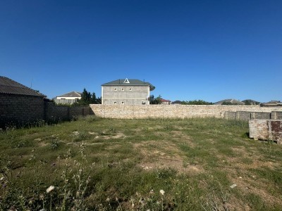image 377816