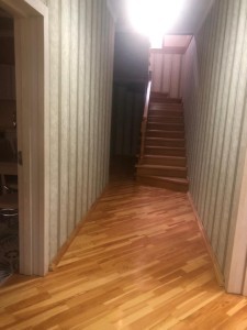 image 377818