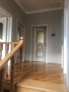 image 377818