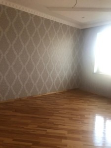 image 377818