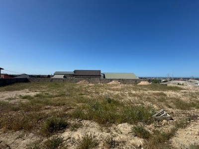 image 377821