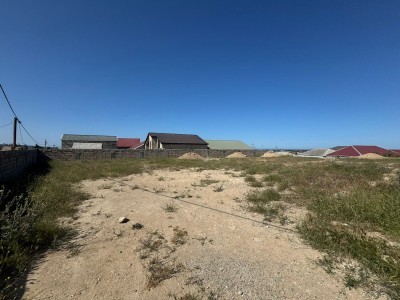 image 377821