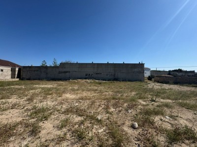 image 377821