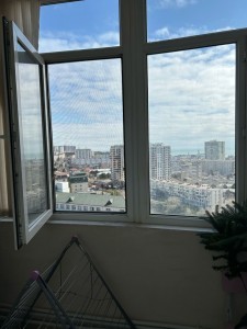 image 377835