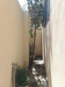 image 377836