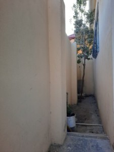 image 377836