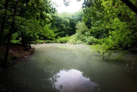 image 377841