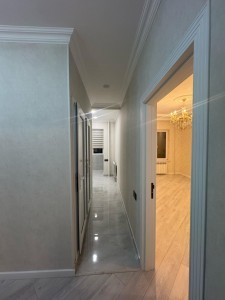image 377842