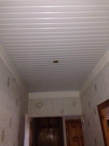 image 377844