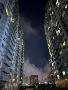 image 377845