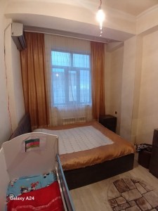 image 377847
