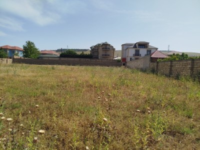image 377855