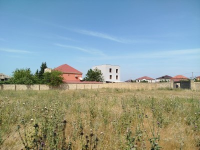 image 377855