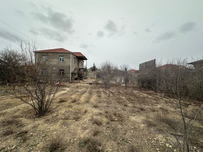 image 377871
