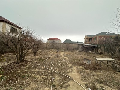 image 377871