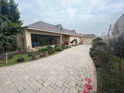 image 377873