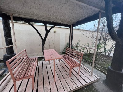 image 377873