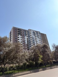 image 377884