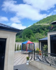 image 377885