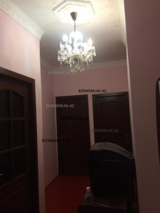 image 377905