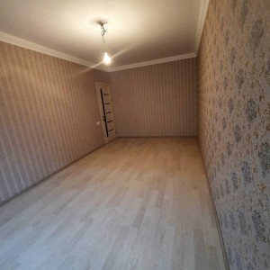 image 377909