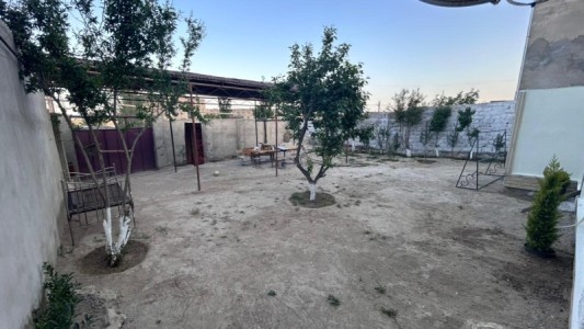 image 377910