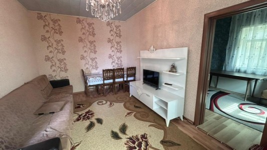 image 377910