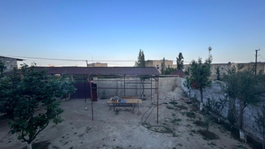 image 377910