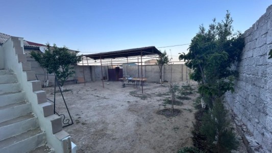 image 377910
