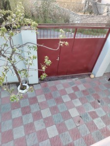 image 377915