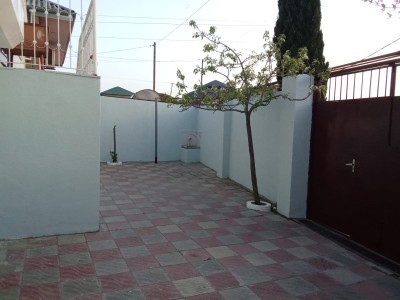 image 377915