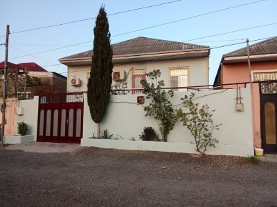 image 377915