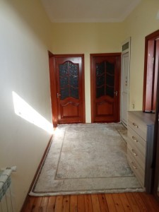 image 377915