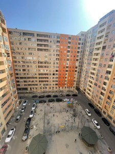 image 377918