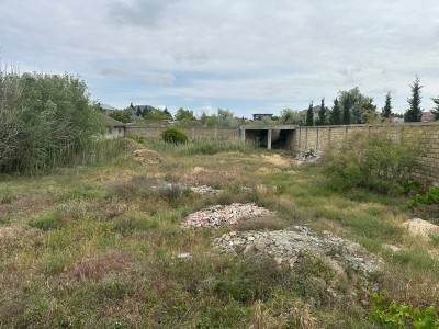 image 377920