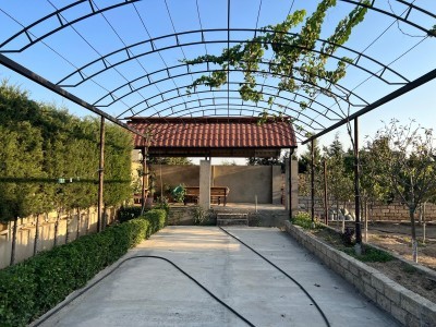 image 377925
