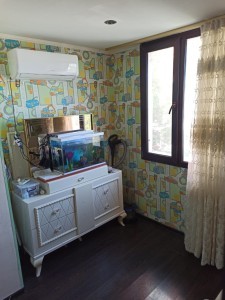 image 377931