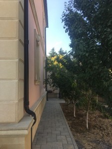 image 377932